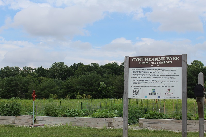 Cyntheanne Park Gardens